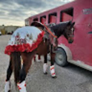 Meet your Posher, Brooke